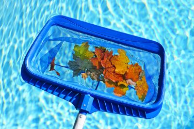 Get Your Pool Cleaned!